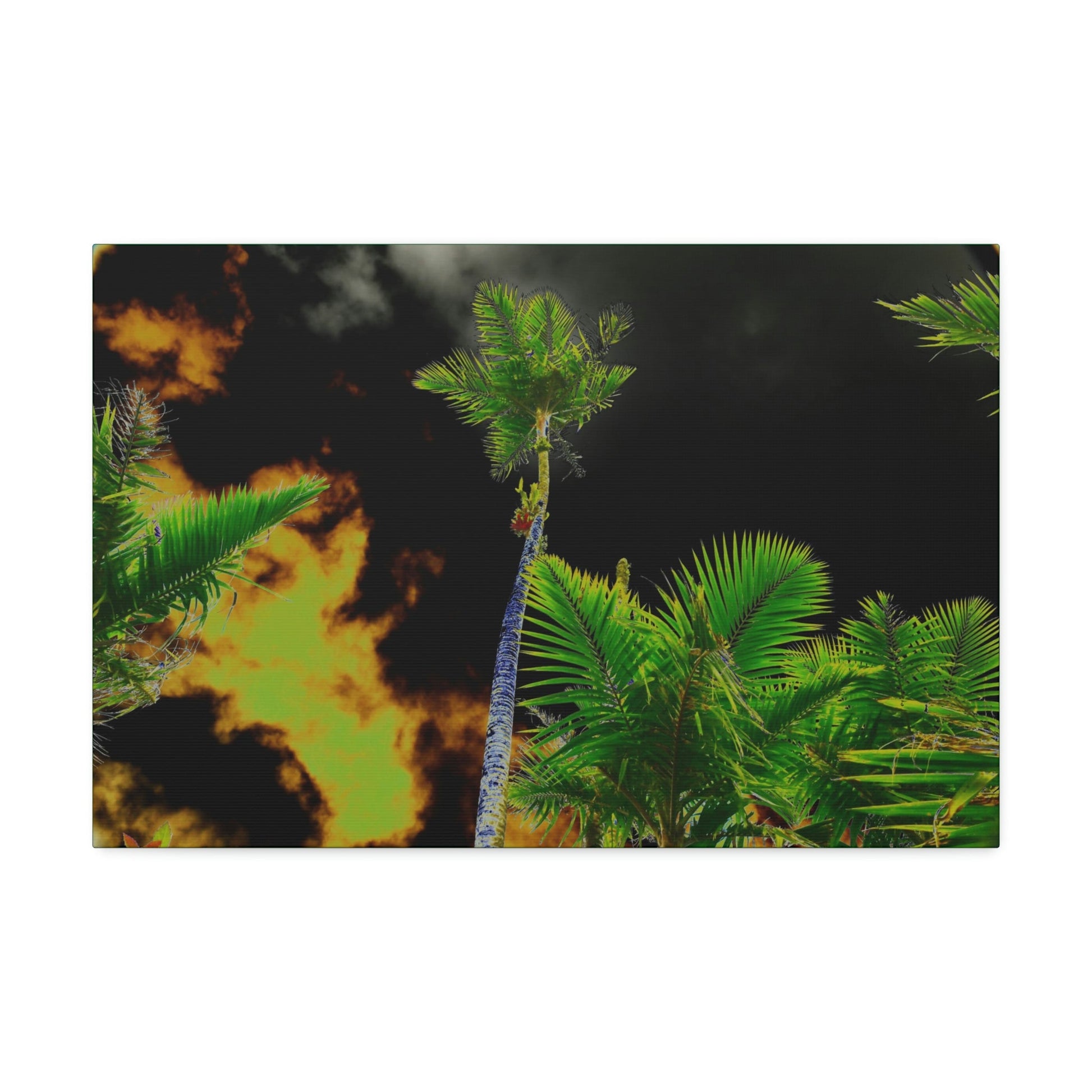 Canvas Stretched - Forest@Home - El Yunque - Recovering from Hurricane Maria - Impacting sky view of Sierra Palms & clouds - color mod - Green Forest Home