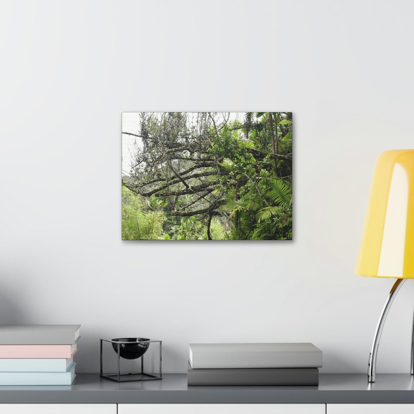 Canvas Stretched - Forest@Home - El Yunque - Recovering from Hurricane Maria - PR 191 large fallen tree near the main road - Green Forest Home