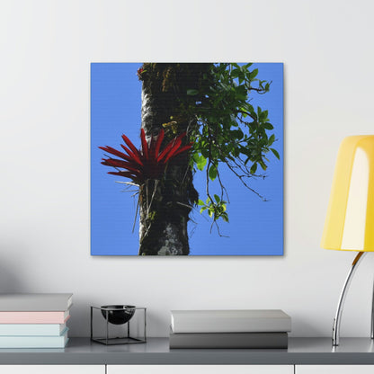 Canvas Stretched - Forest@Home - El Yunque - Recovering from Hurricane Maria - Rare Red Bromeliad (air plant) in a Sierra Palm - Green Forest Home