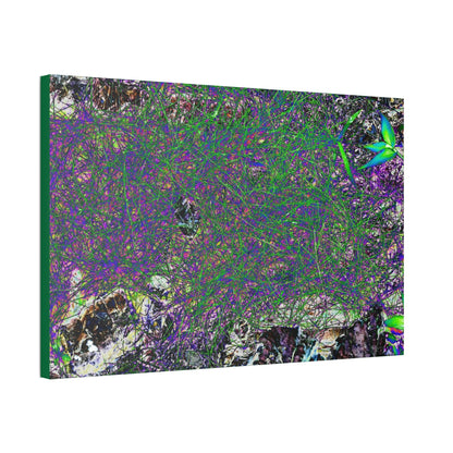 Canvas Stretched - Forest@Home - El Yunque - Recovering from Hurricane Maria - Rare thread-like plant grows on very humid parts - Tradewinds - Green Forest Home