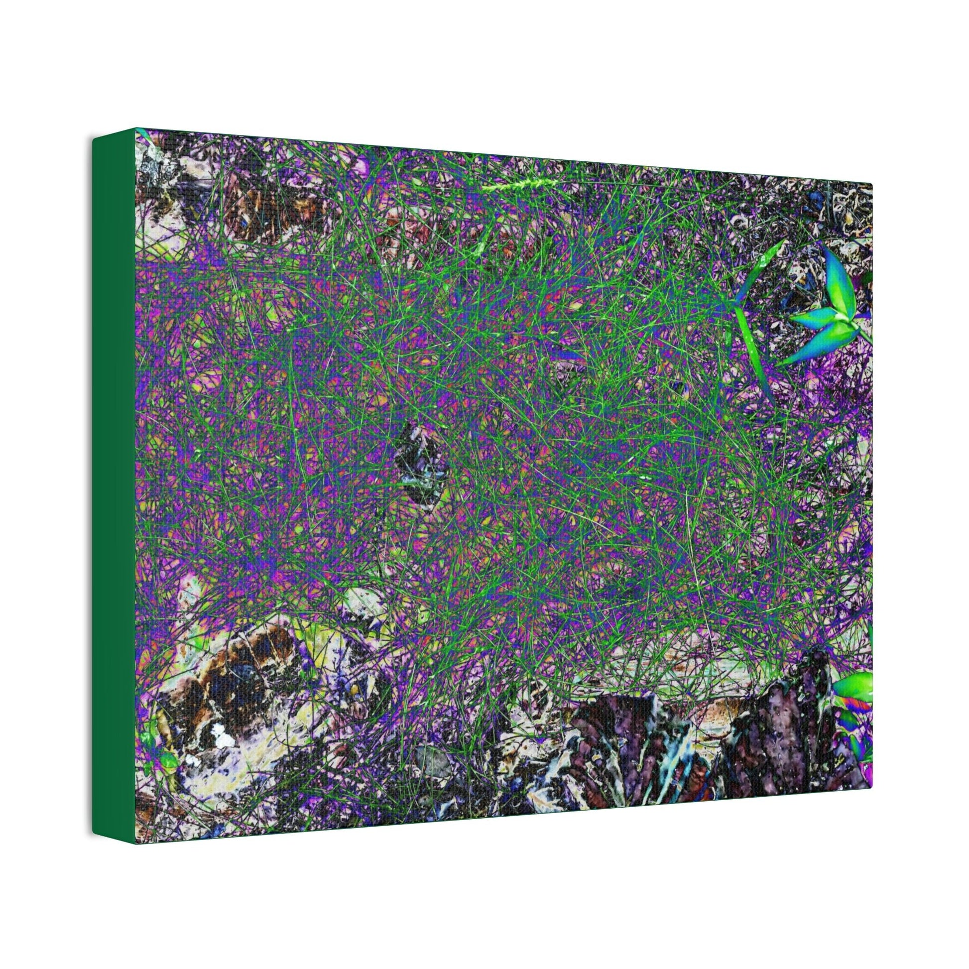 Canvas Stretched - Forest@Home - El Yunque - Recovering from Hurricane Maria - Rare thread-like plant grows on very humid parts - Tradewinds - Green Forest Home