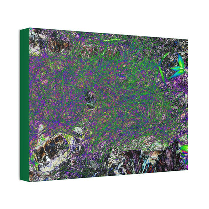 Canvas Stretched - Forest@Home - El Yunque - Recovering from Hurricane Maria - Rare thread-like plant grows on very humid parts - Tradewinds - Green Forest Home