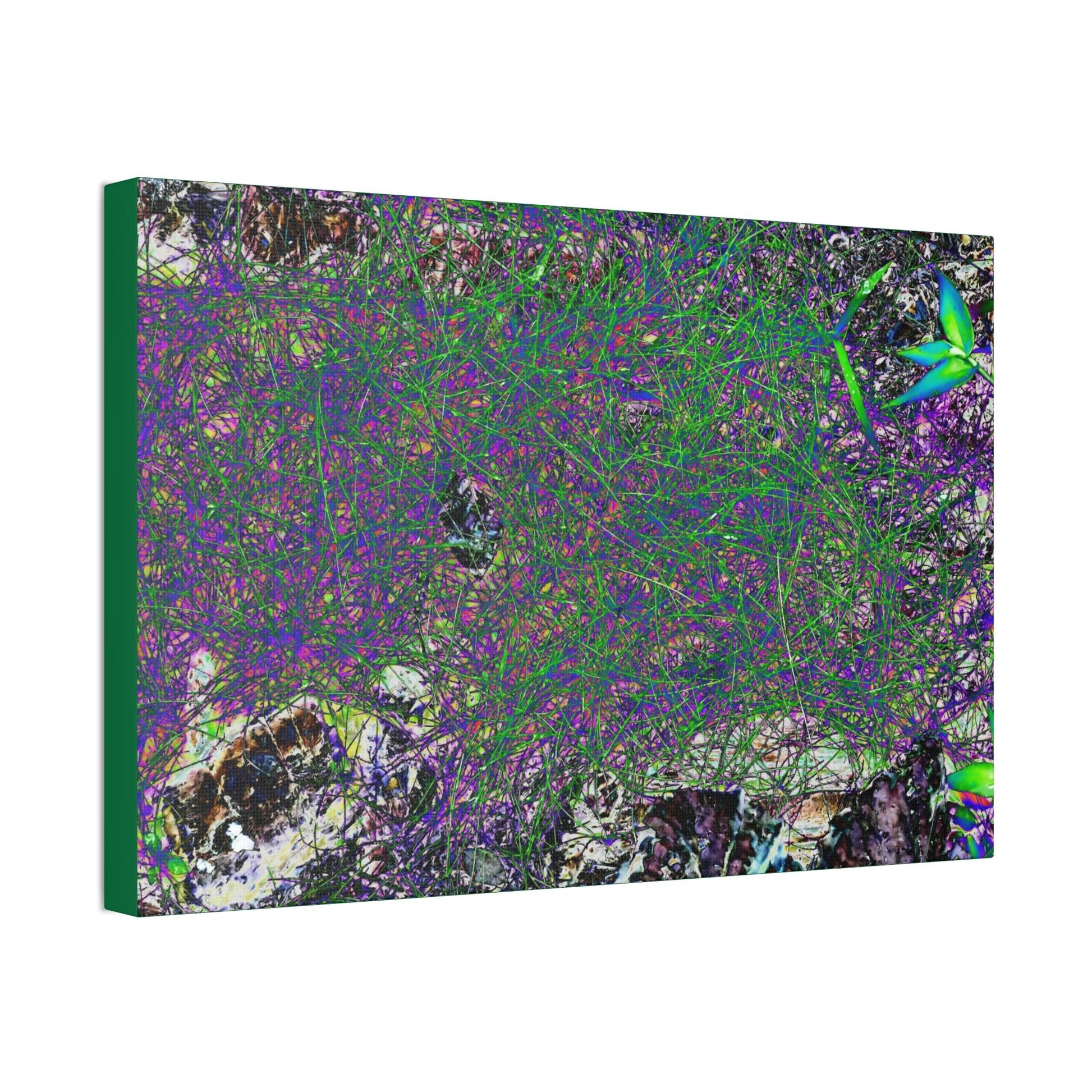 Canvas Stretched - Forest@Home - El Yunque - Recovering from Hurricane Maria - Rare thread-like plant grows on very humid parts - Tradewinds - Green Forest Home