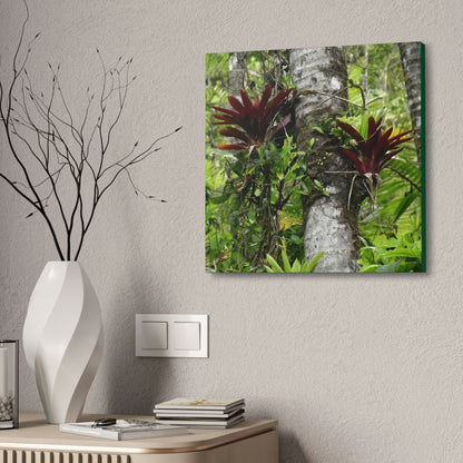 Canvas Stretched - Forest@Home - El Yunque - Recovering from Hurricane Maria - Red Bromeliads (air plants) in a Sierra Palm forest - Green Forest Home