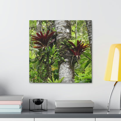 Canvas Stretched - Forest@Home - El Yunque - Recovering from Hurricane Maria - Red Bromeliads (air plants) in a Sierra Palm forest - Green Forest Home