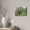 Canvas Stretched - Forest@Home - El Yunque - Recovering from Hurricane Maria - This is how a good part of the tral Tradewinds looks like - Green Forest Home