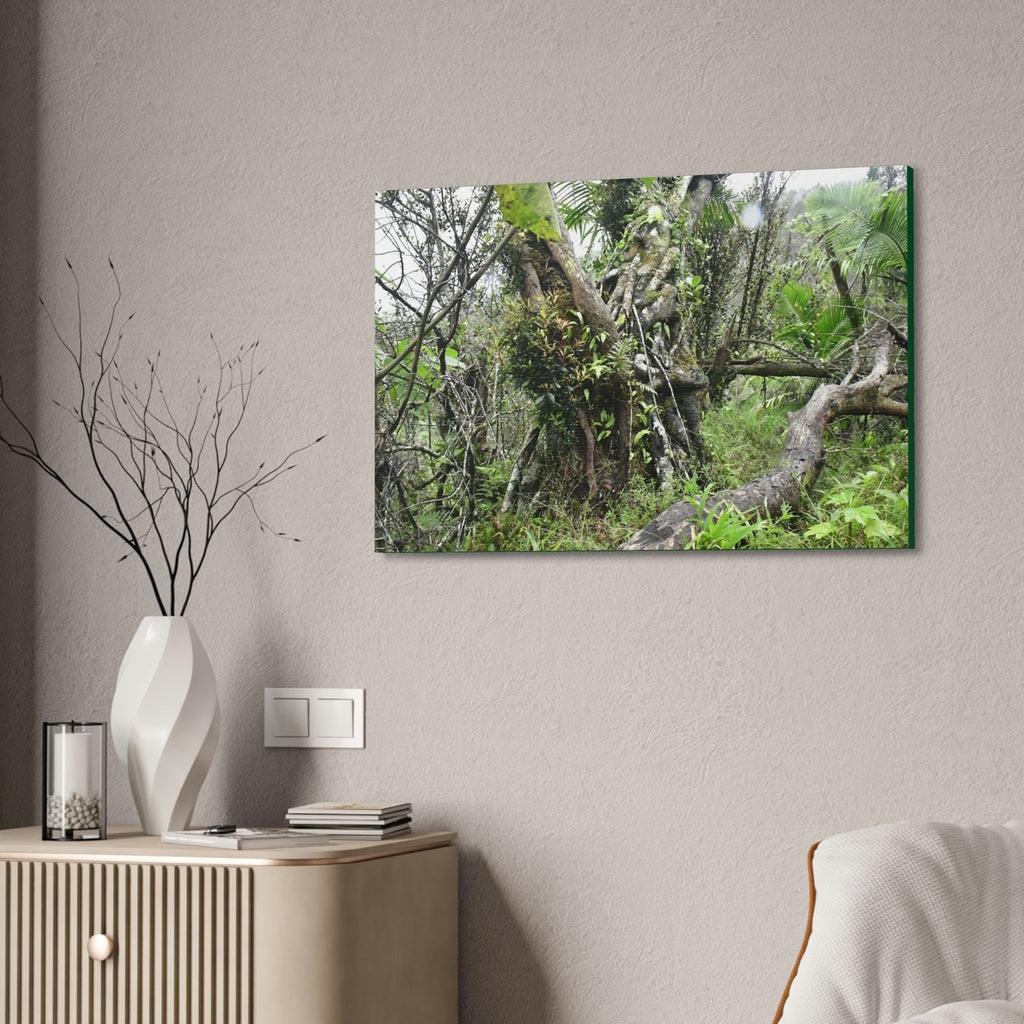 Canvas Stretched - Forest@Home - El Yunque - Recovering from Hurricane Maria - This is how a good part of the tral Tradewinds looks like - Green Forest Home
