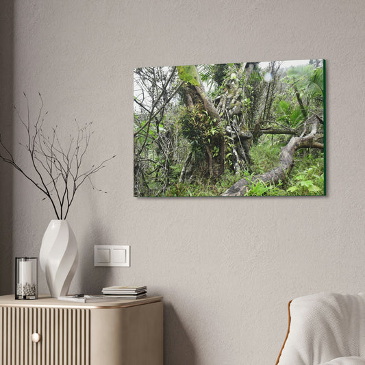 Canvas Stretched - Forest@Home - El Yunque - Recovering from Hurricane Maria - This is how a good part of the tral Tradewinds looks like - Green Forest Home