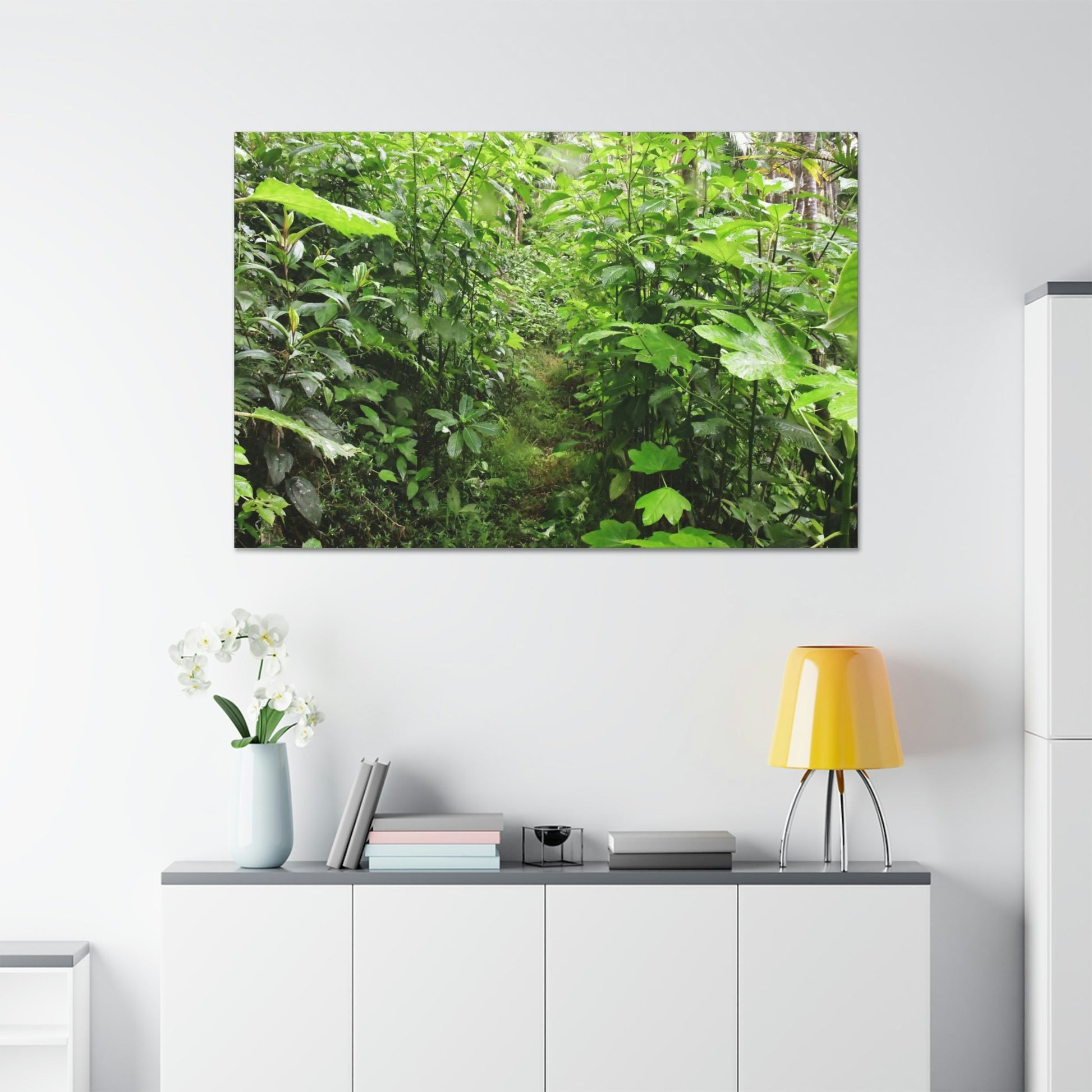 Canvas Stretched - Forest@Home - El Yunque - Recovering from Hurricane Maria - This is how a good part of the tral Tradewinds looks like - Green Forest Home