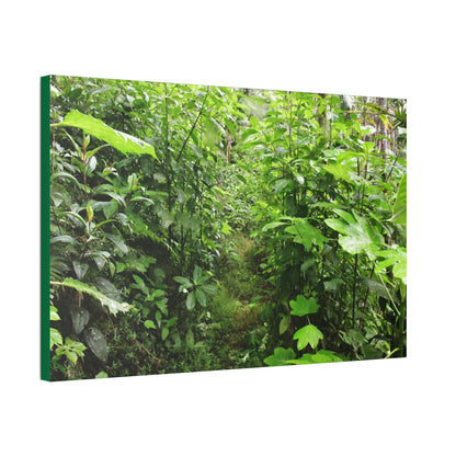 Canvas Stretched - Forest@Home - El Yunque - Recovering from Hurricane Maria - This is how a good part of the tral Tradewinds looks like - Green Forest Home