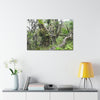 Canvas Stretched - Forest@Home - El Yunque - Recovering from Hurricane Maria - This is how a good part of the tral Tradewinds looks like - Green Forest Home