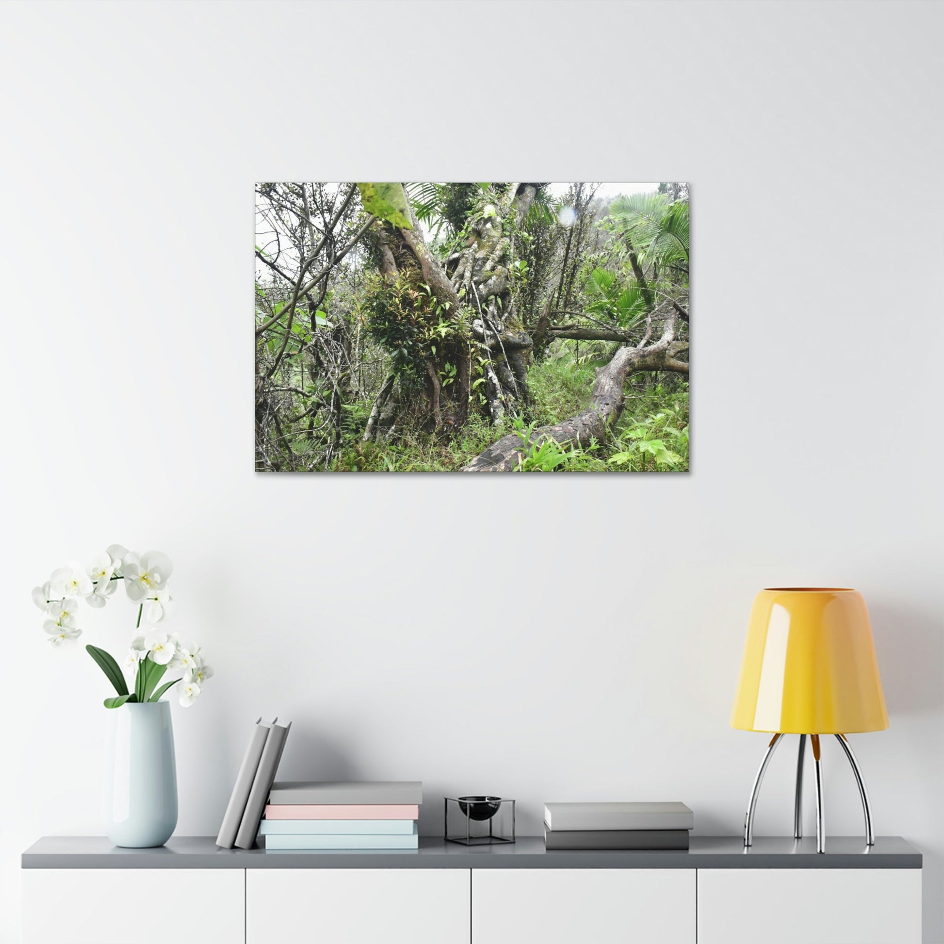 Canvas Stretched - Forest@Home - El Yunque - Recovering from Hurricane Maria - This is how a good part of the tral Tradewinds looks like - Green Forest Home