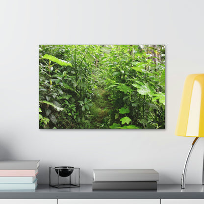 Canvas Stretched - Forest@Home - El Yunque - Recovering from Hurricane Maria - This is how a good part of the tral Tradewinds looks like - Green Forest Home