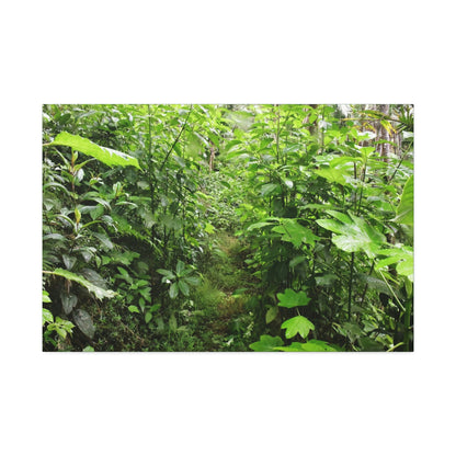 Canvas Stretched - Forest@Home - El Yunque - Recovering from Hurricane Maria - This is how a good part of the tral Tradewinds looks like - Green Forest Home