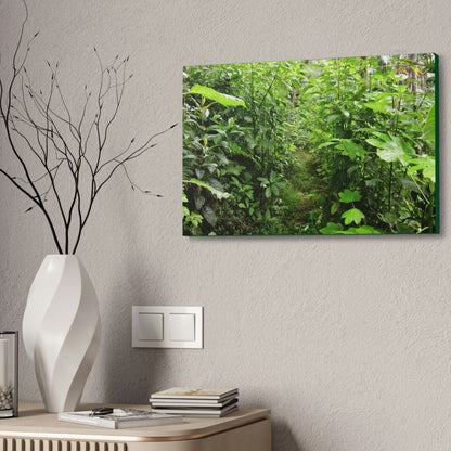 Canvas Stretched - Forest@Home - El Yunque - Recovering from Hurricane Maria - This is how a good part of the tral Tradewinds looks like - Green Forest Home