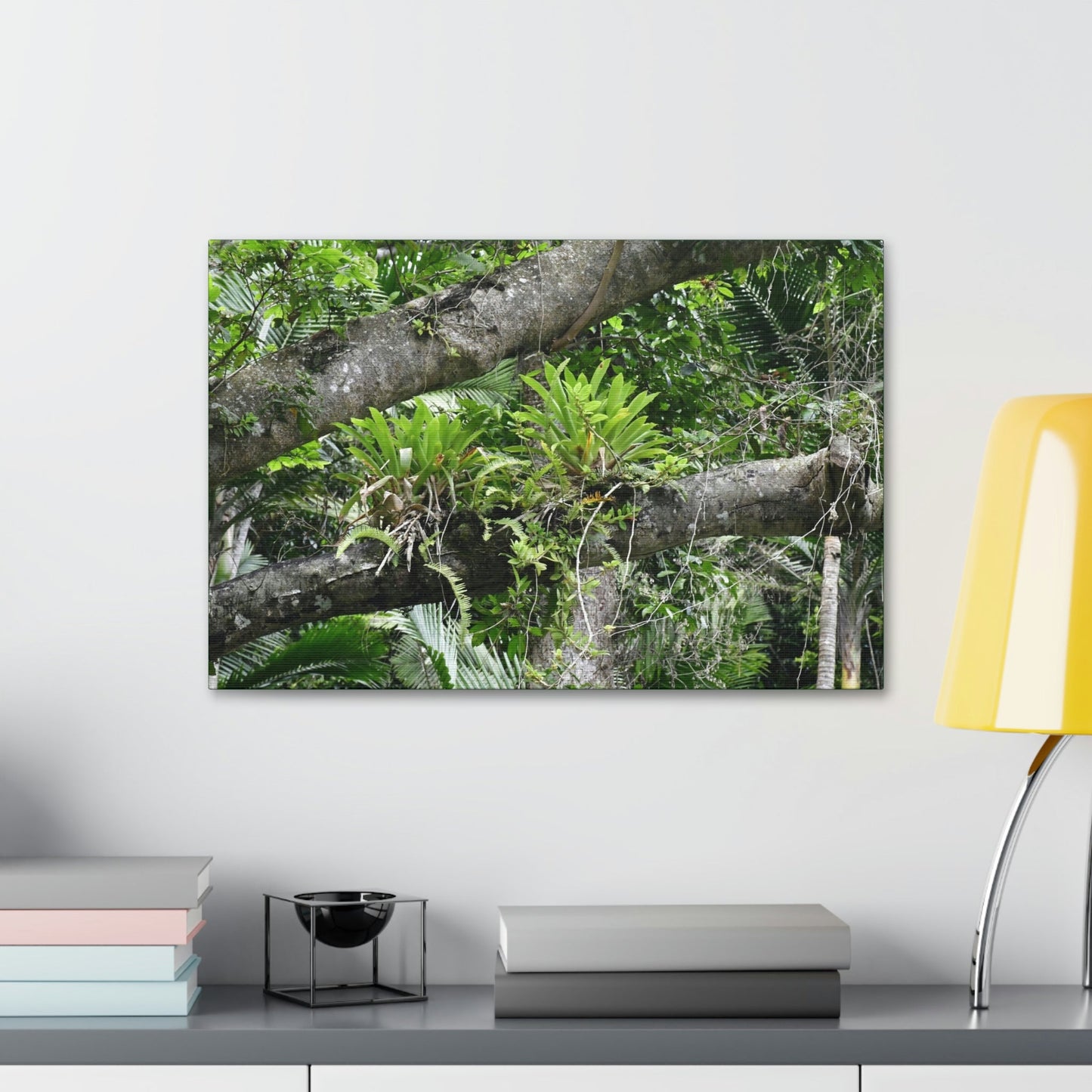 Canvas Stretched - Forest@Home - El Yunque - Recovering from Hurricane Maria - Tradewinds trail Bromeliads in fallen tree trunk - Green Forest Home