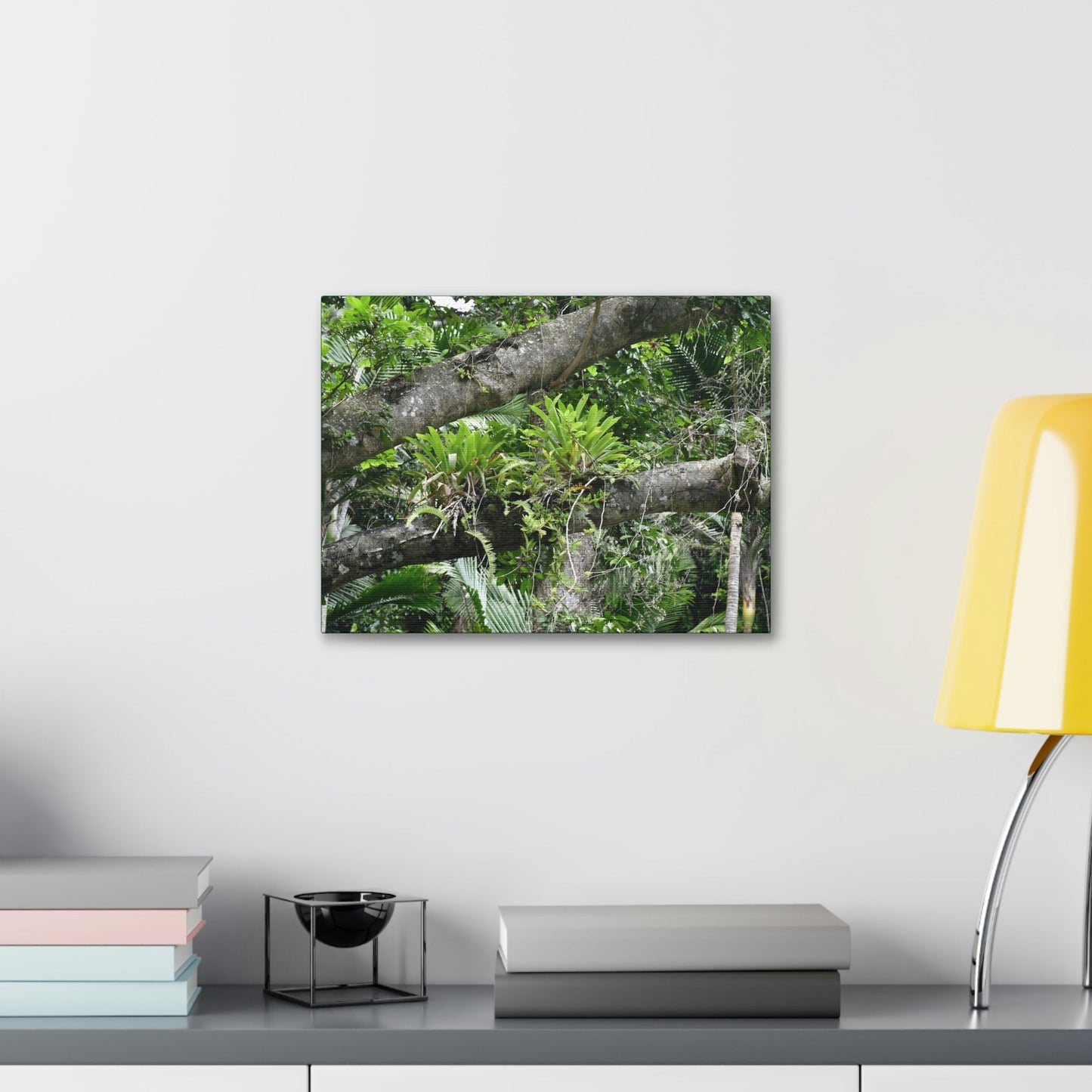 Canvas Stretched - Forest@Home - El Yunque - Recovering from Hurricane Maria - Tradewinds trail Bromeliads in fallen tree trunk - Green Forest Home