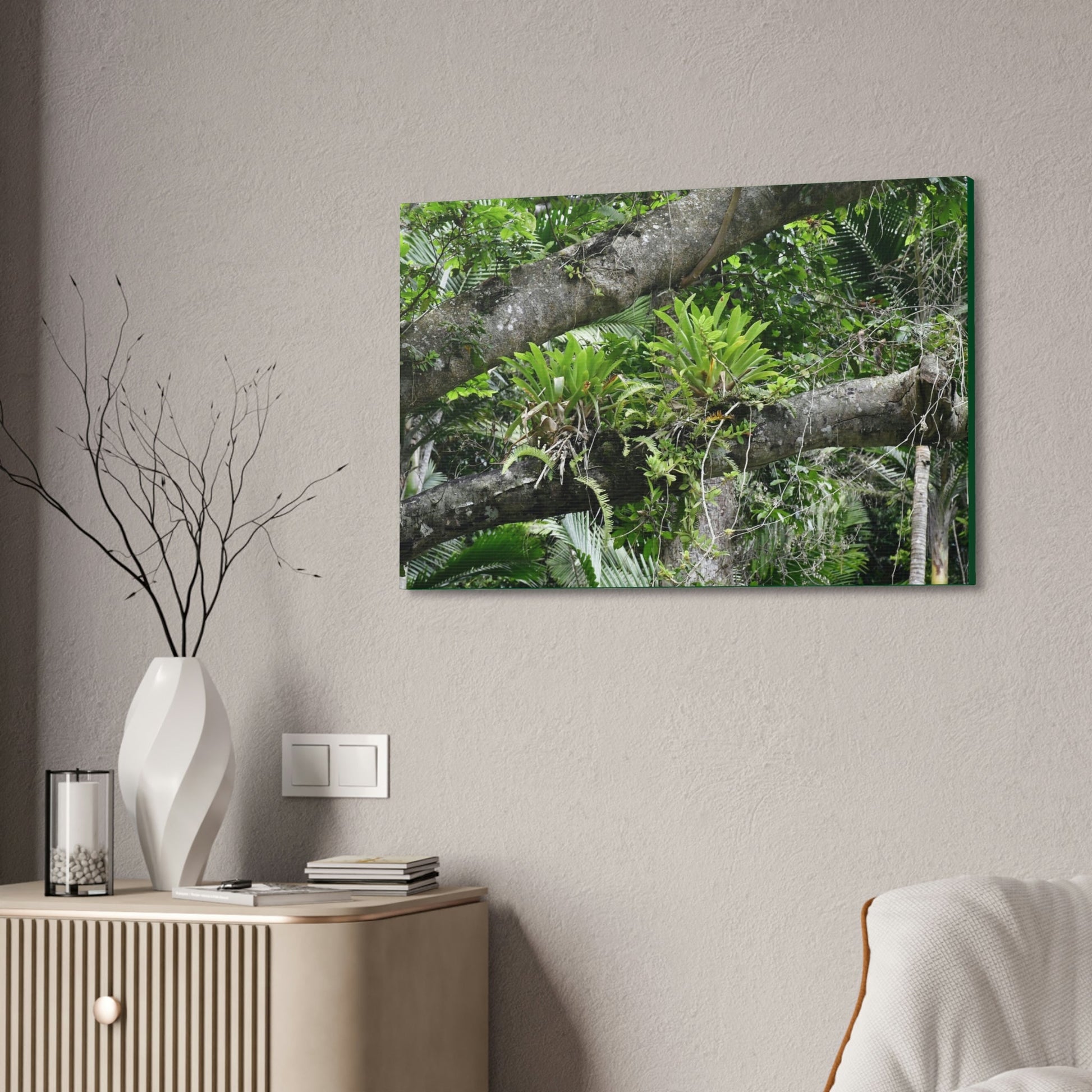 Canvas Stretched - Forest@Home - El Yunque - Recovering from Hurricane Maria - Tradewinds trail Bromeliads in fallen tree trunk - Green Forest Home