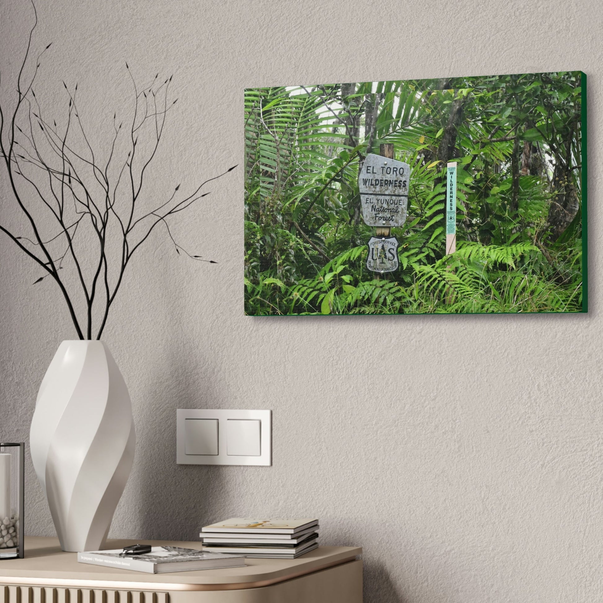 Canvas Stretched - Forest@Home - El Yunque - Recovering from Hurricane Maria - Tradewinds trail mark the official start of El Toro wilderness - Green Forest Home