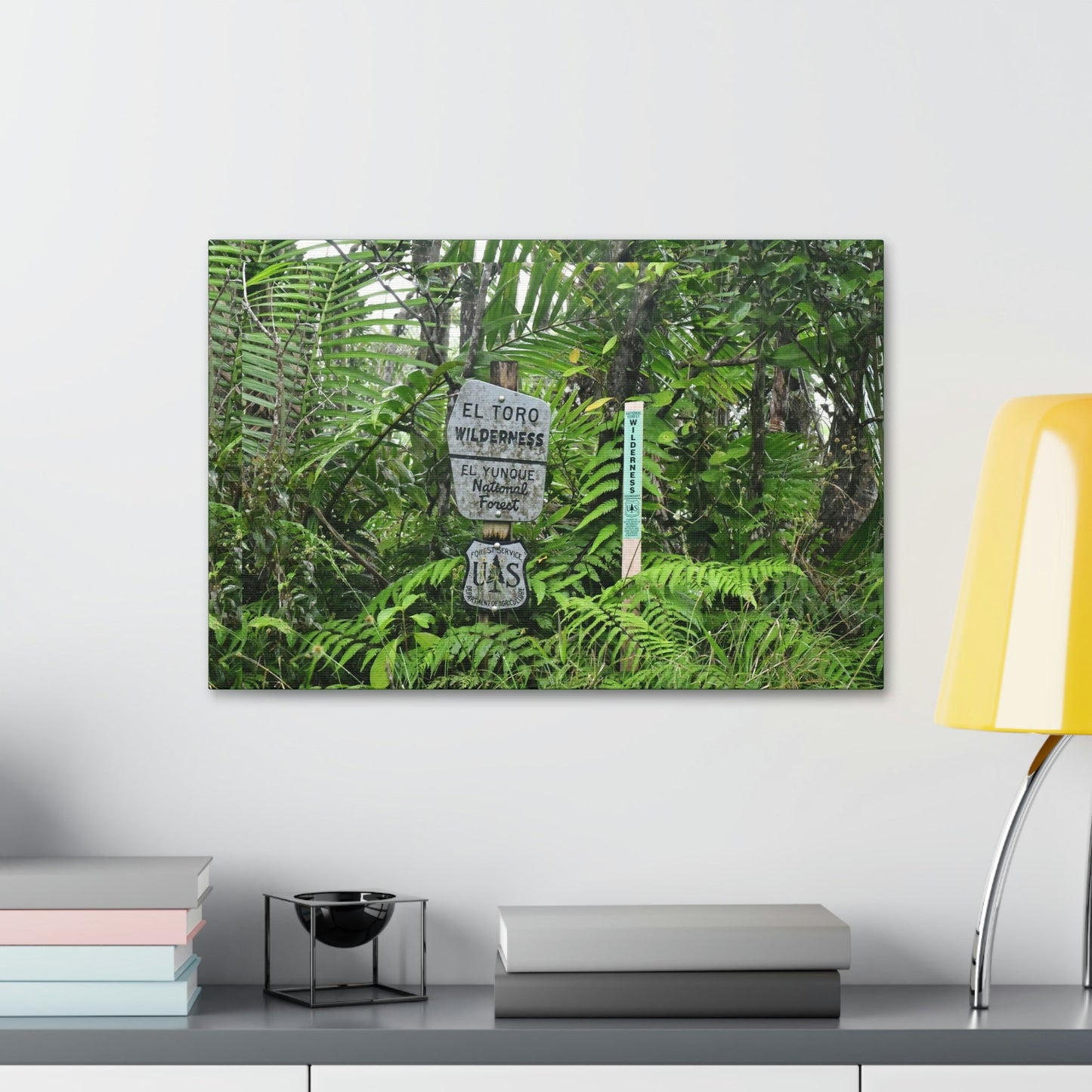 Canvas Stretched - Forest@Home - El Yunque - Recovering from Hurricane Maria - Tradewinds trail mark the official start of El Toro wilderness - Green Forest Home