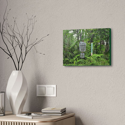 Canvas Stretched - Forest@Home - El Yunque - Recovering from Hurricane Maria - Tradewinds trail mark the official start of El Toro wilderness - Green Forest Home