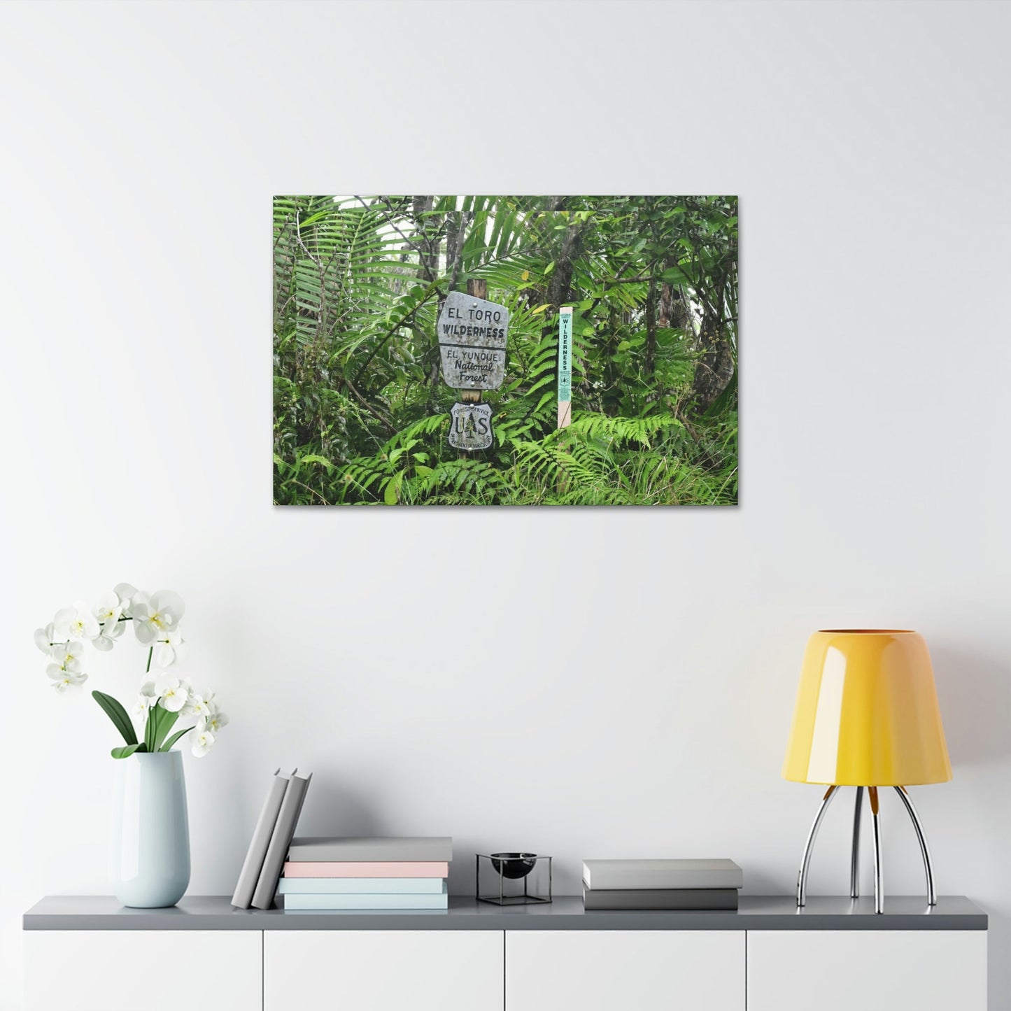 Canvas Stretched - Forest@Home - El Yunque - Recovering from Hurricane Maria - Tradewinds trail mark the official start of El Toro wilderness - Green Forest Home