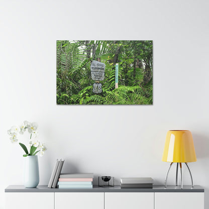Canvas Stretched - Forest@Home - El Yunque - Recovering from Hurricane Maria - Tradewinds trail mark the official start of El Toro wilderness - Green Forest Home