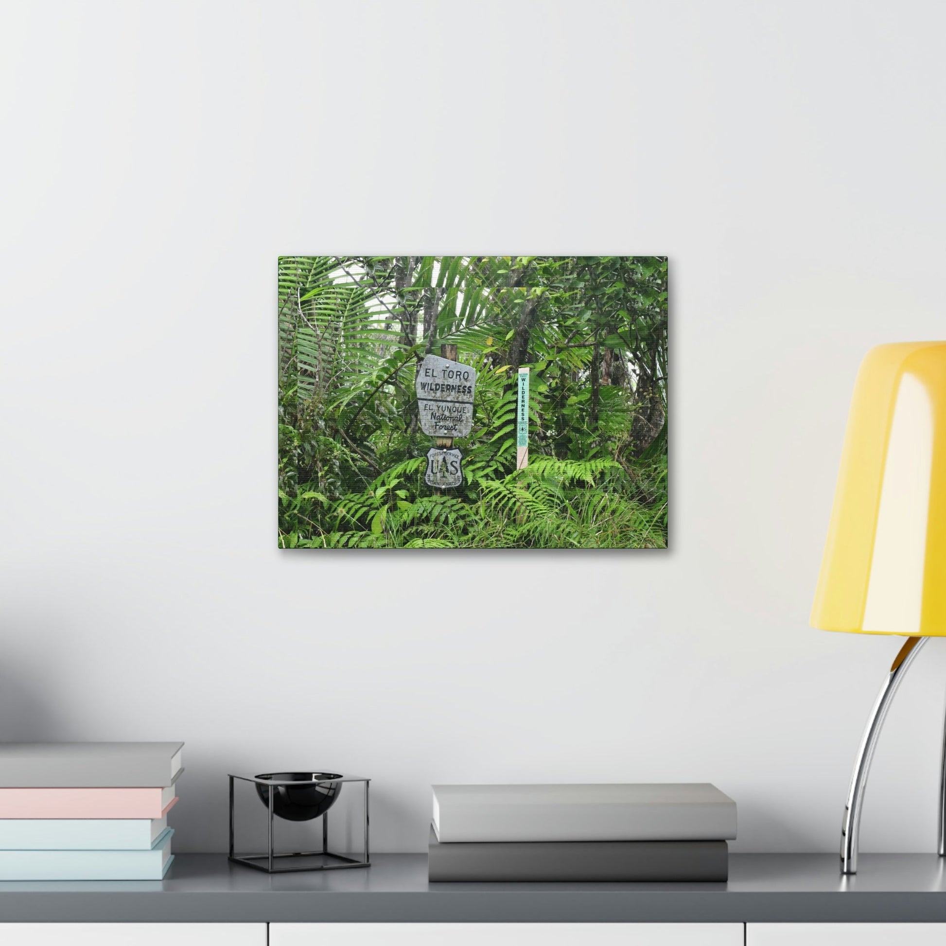 Canvas Stretched - Forest@Home - El Yunque - Recovering from Hurricane Maria - Tradewinds trail mark the official start of El Toro wilderness - Green Forest Home