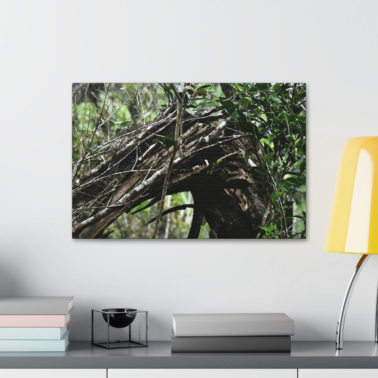Canvas Stretched - Forest@Home - El Yunque - Recovering from Hurricane Maria - Tradewinds trail shows a broken tree - Green Forest Home