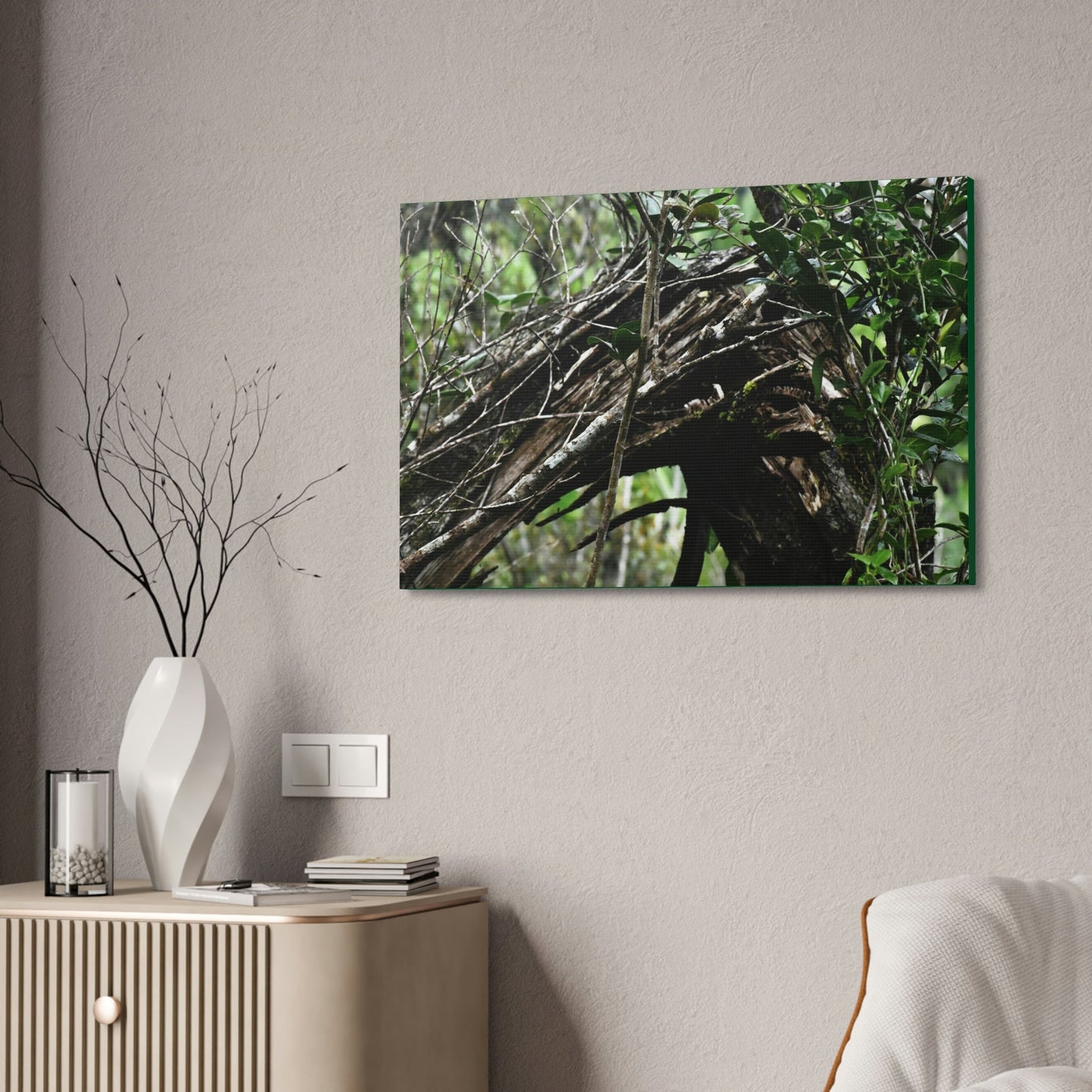 Canvas Stretched - Forest@Home - El Yunque - Recovering from Hurricane Maria - Tradewinds trail shows a broken tree - Green Forest Home