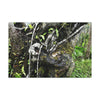 Canvas Stretched - Forest@Home - El Yunque - Recovering from Hurricane Maria - Tradewinds trail shows trees a bundle of close-knit branches - Green Forest Home