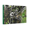 Canvas Stretched - Forest@Home - El Yunque - Recovering from Hurricane Maria - Tradewinds trail shows trees a bundle of close-knit branches - Green Forest Home