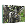 Canvas Stretched - Forest@Home - El Yunque - Recovering from Hurricane Maria - Tradewinds trail shows trees a bundle of close-knit branches - Green Forest Home