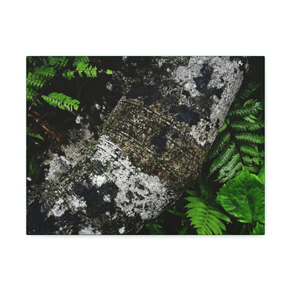 Canvas Stretched - Forest@Home - El Yunque - Recovering from Hurricane Maria - Tradewinds trail trees trunk bend to stay low during storms - Green Forest Home