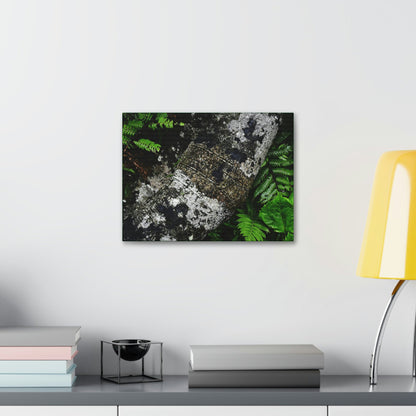 Canvas Stretched - Forest@Home - El Yunque - Recovering from Hurricane Maria - Tradewinds trail trees trunk bend to stay low during storms - Green Forest Home