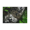 Canvas Stretched - Forest@Home - El Yunque - Recovering from Hurricane Maria - Tradewinds trail trees trunk bend to stay low during storms - Green Forest Home