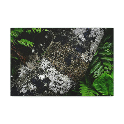 Canvas Stretched - Forest@Home - El Yunque - Recovering from Hurricane Maria - Tradewinds trail trees trunk bend to stay low during storms - Green Forest Home