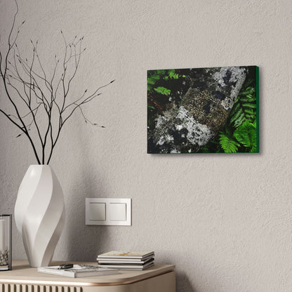 Canvas Stretched - Forest@Home - El Yunque - Recovering from Hurricane Maria - Tradewinds trail trees trunk bend to stay low during storms - Green Forest Home