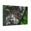 Canvas Stretched - Forest@Home - El Yunque - Recovering from Hurricane Maria - Tradewinds trail trees trunk bend to stay low during storms - Green Forest Home