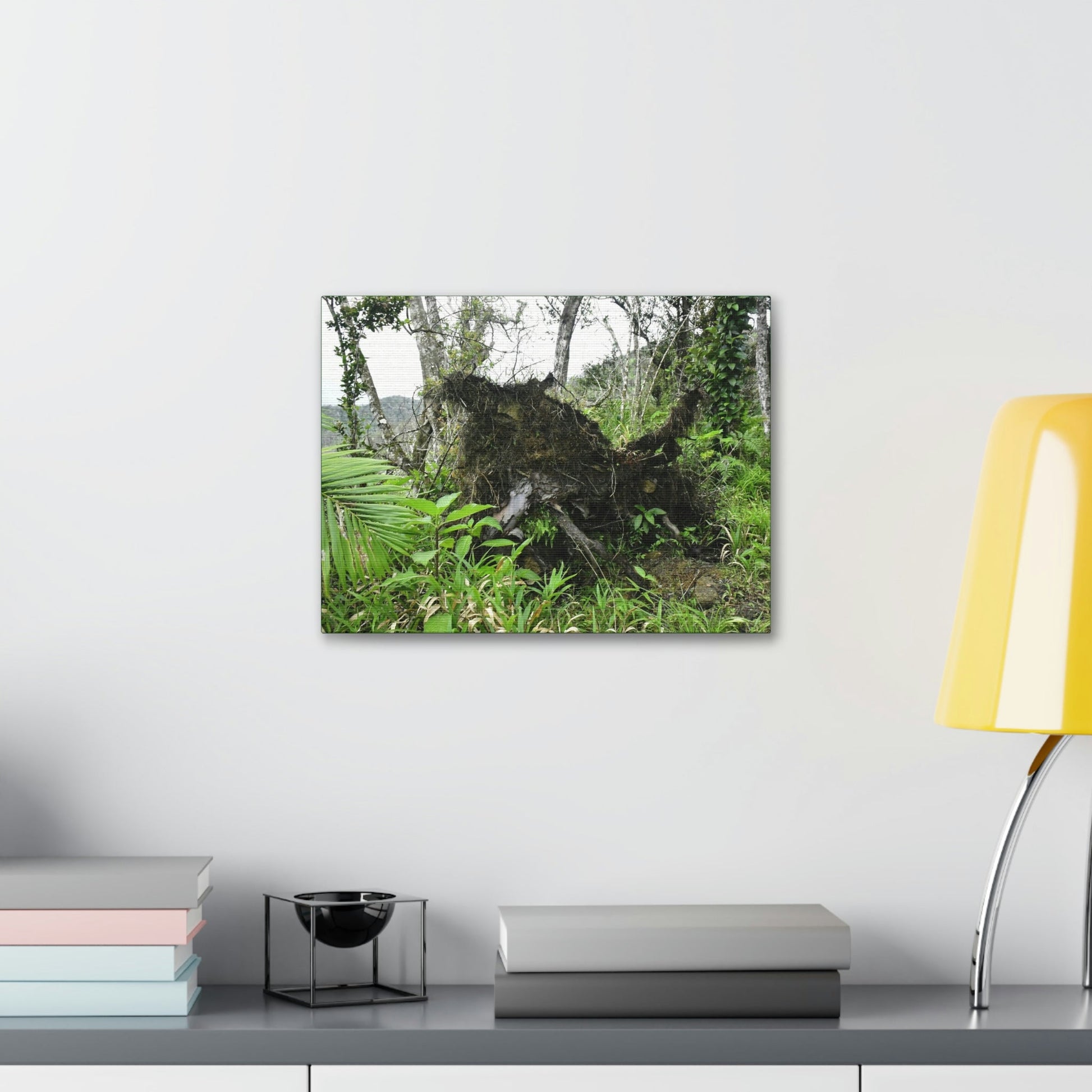 Canvas Stretched - Forest@Home - El Yunque - Recovering from Hurricane Maria - Tree Trunk/roots ripped from the earth by Maria - Tradewinds - Green Forest Home
