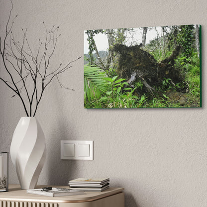 Canvas Stretched - Forest@Home - El Yunque - Recovering from Hurricane Maria - Tree Trunk/roots ripped from the earth by Maria - Tradewinds - Green Forest Home