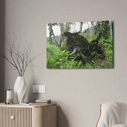 Canvas Stretched - Forest@Home - El Yunque - Recovering from Hurricane Maria - Tree Trunk/roots ripped from the earth by Maria - Tradewinds - Green Forest Home