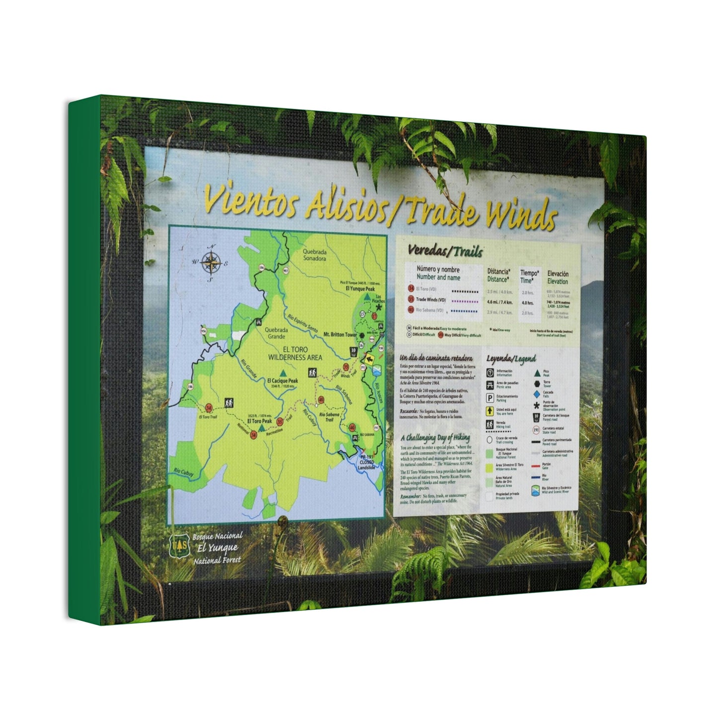 Canvas Stretched - Forest@Home - El Yunque - Sign with trails map on entrance of Tradewinds Trail - on PR 191 after the closed gate - Green Forest Home