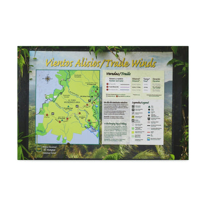 Canvas Stretched - Forest@Home - El Yunque - Sign with trails map on entrance of Tradewinds Trail - on PR 191 after the closed gate - Green Forest Home