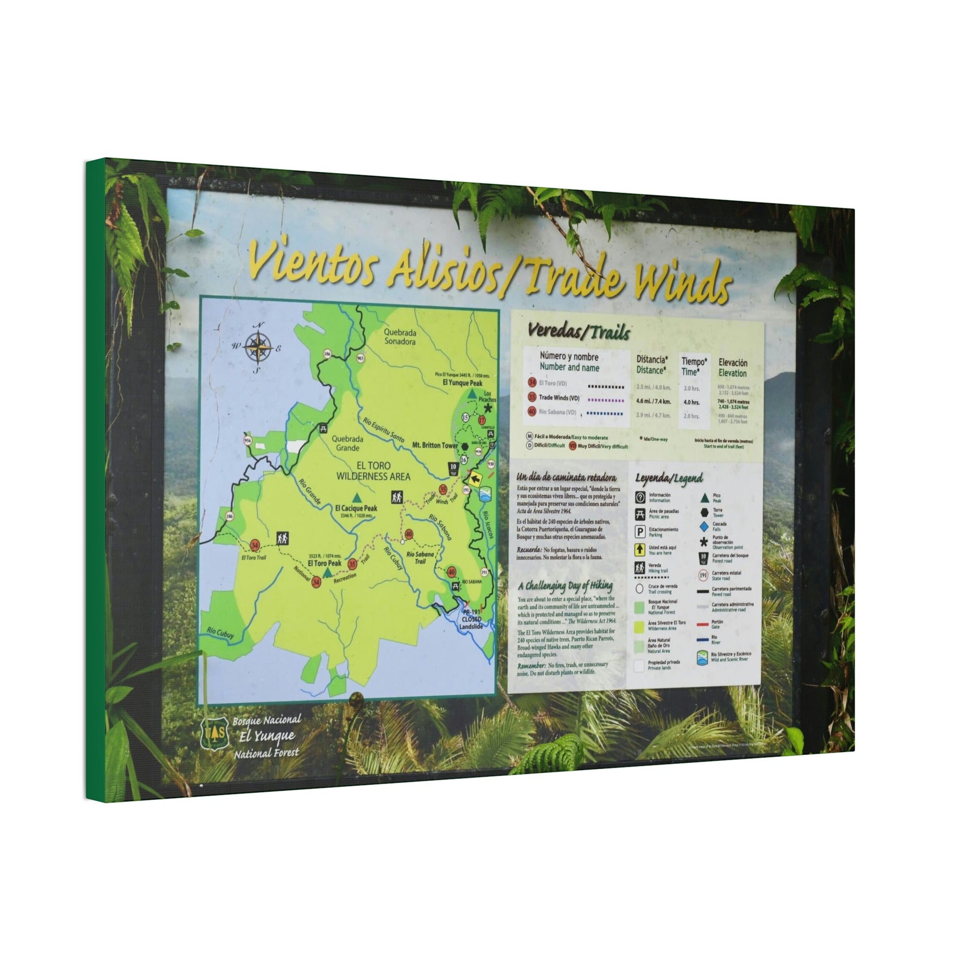 Canvas Stretched - Forest@Home - El Yunque - Sign with trails map on entrance of Tradewinds Trail - on PR 191 after the closed gate - Green Forest Home