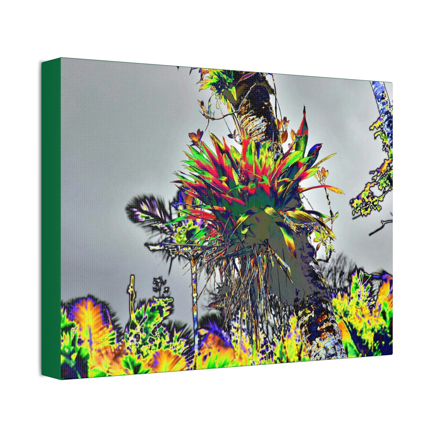 Canvas Stretched - Forest@Home - El Yunque - Stunning colors is a Bromeliad (air plant) in a Sierra Palm trunk - Green Forest Home