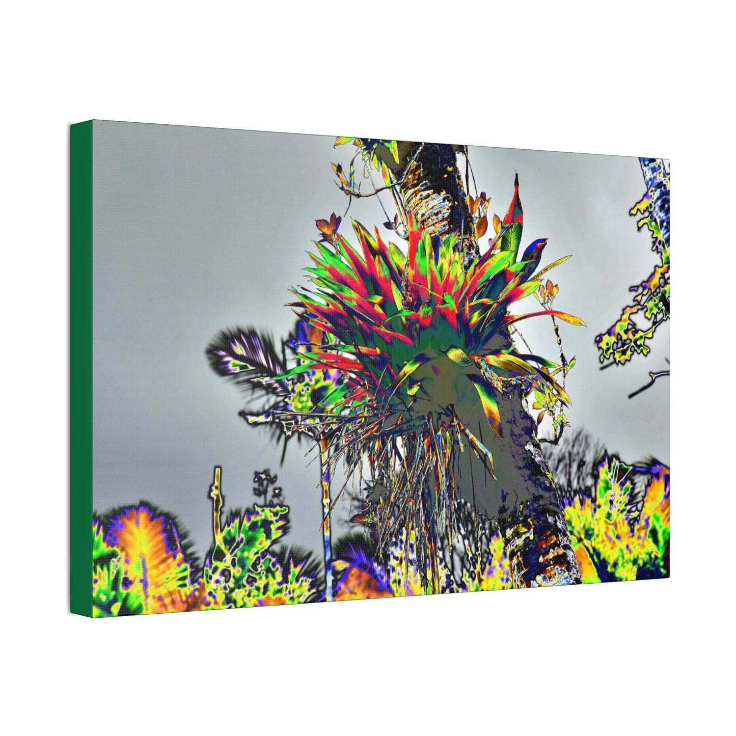 Canvas Stretched - Forest@Home - El Yunque - Stunning colors is a Bromeliad (air plant) in a Sierra Palm trunk - Green Forest Home