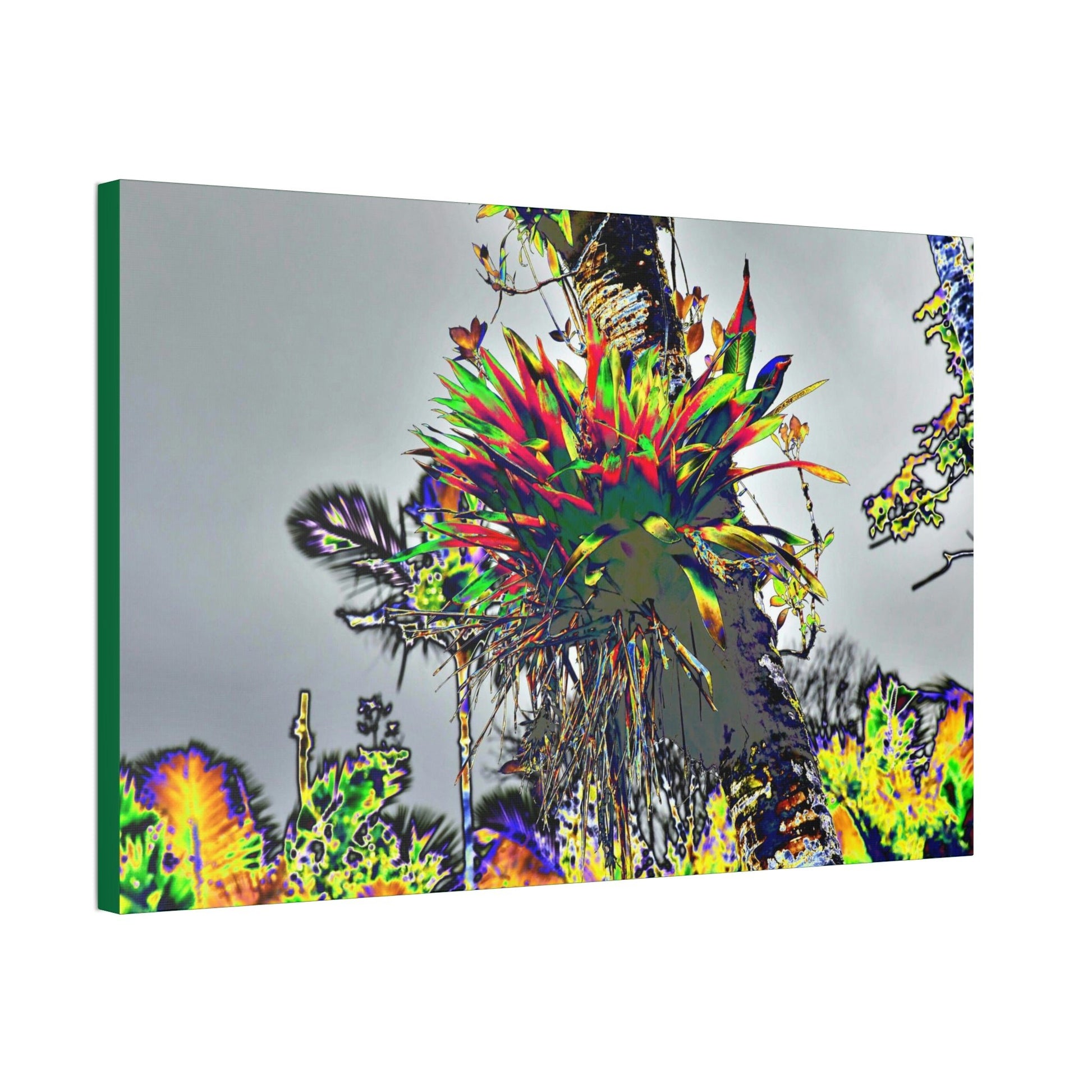 Canvas Stretched - Forest@Home - El Yunque - Stunning colors is a Bromeliad (air plant) in a Sierra Palm trunk - Green Forest Home