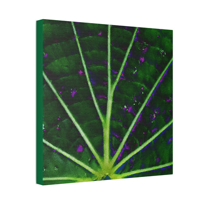 Canvas Stretched - Forest@Home - El Yunque - The center of the Vaquiña leaf - used in teas for kidney health - Green Forest Home