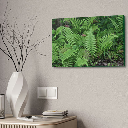Canvas Stretched - Forest@Home - El Yunque - The happiness of being a simple Fern - one of 150 species of ferns here - Green Forest Home